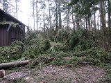 Huette bei Schorborn  (6)